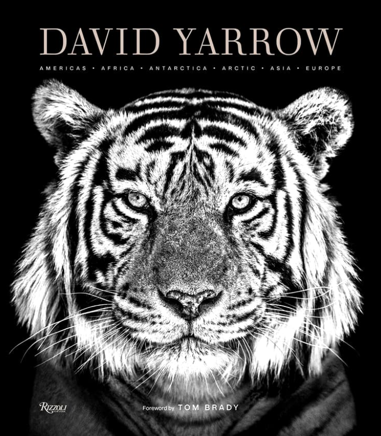 David Yarrow Photography