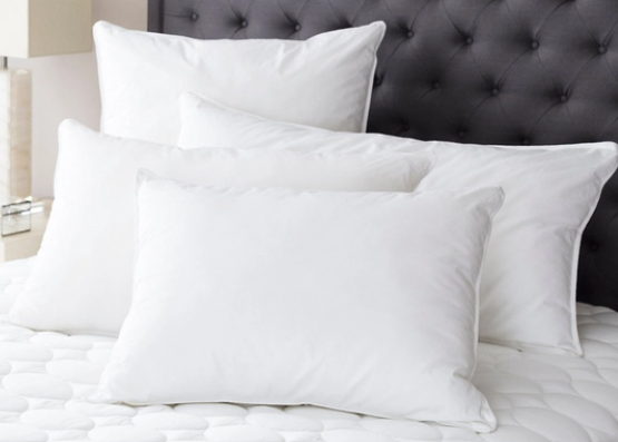 Mantra Down Alternative Pillow Insert - Euro