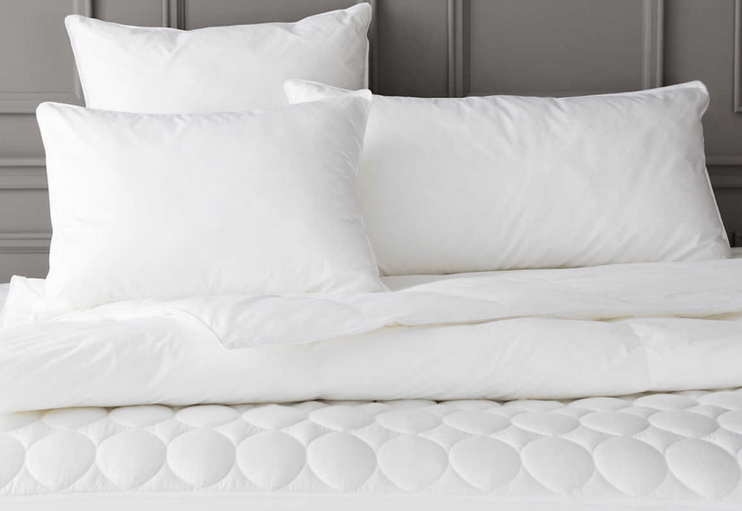 Feather/Down Pillow Insert - 29x37