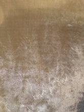 Load image into Gallery viewer, Cider Velvet Pillow W/ insert
