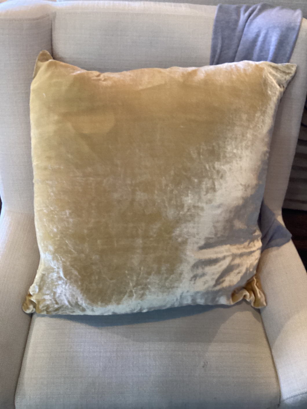 Cider Velvet Pillow W/ insert