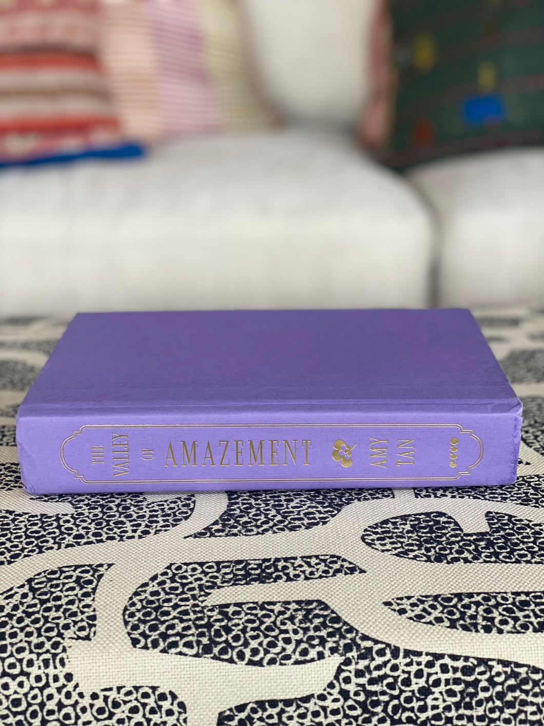“The Valley of Amazement” Vintage Book