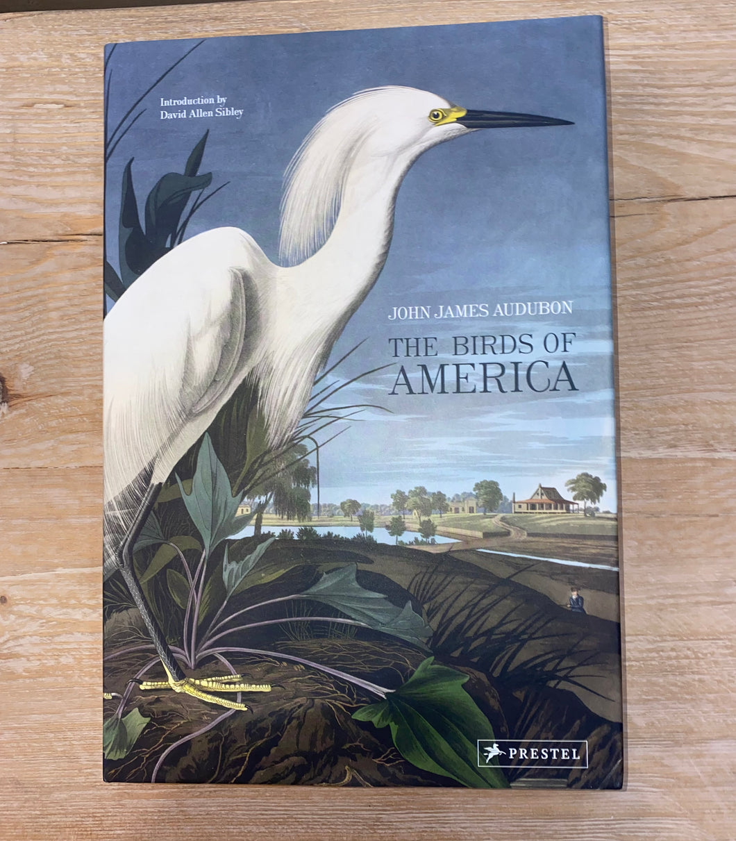 Birds of America/ Sibley intro Hardcover