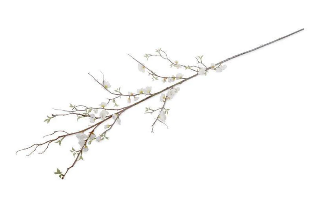 Cherry Blossom Branch, 60