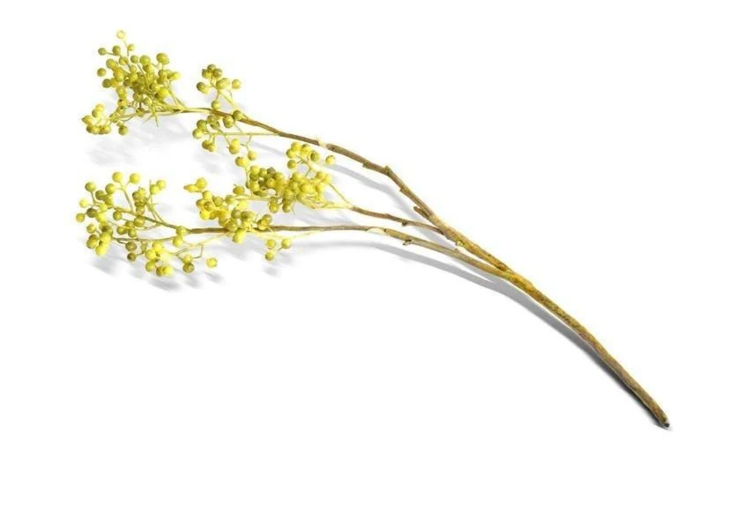 Berry Branch, 20