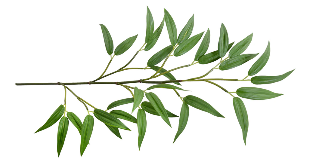 Bamboo Leaf Spray, 22