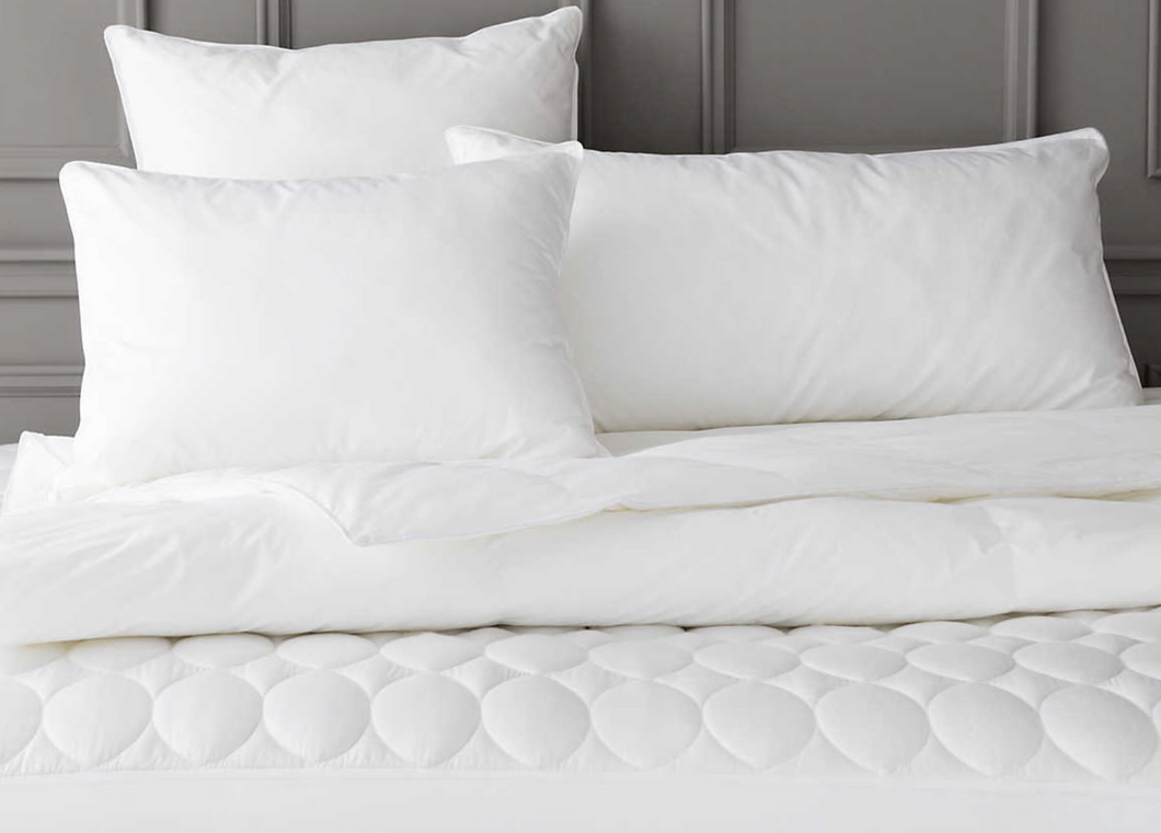 Feather/Down Pillow Insert- 23x23