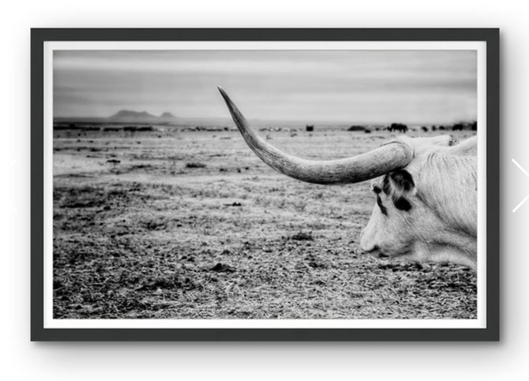 The Horn Painting